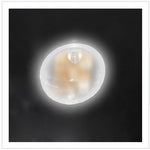 Vitrifrigo - DCW95 Winecellar - DC Fridge