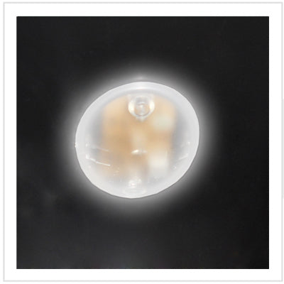 Vitrifrigo - DCW95 Winecellar - DC Fridge